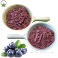 Großhandel Blueberry Extract Saftpulver